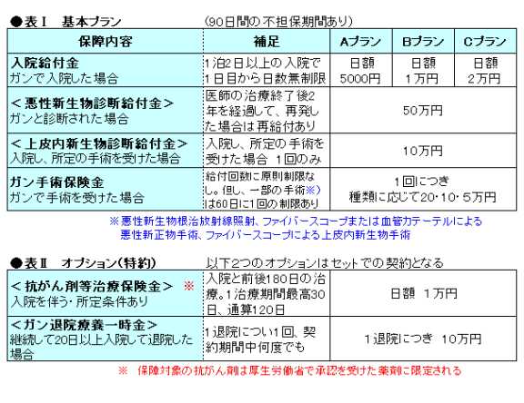 注目商品 みんなのほすピタる アメリカンホームby田辺南香 30 アメリカンホーム保険