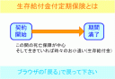 生存給付金付定期保険