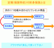 定期付終身保険