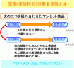 定期付養老保険