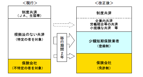 少額短期保険業者