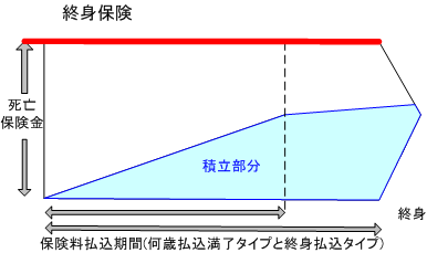終身保険