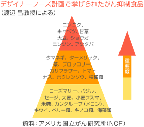 デザイナーフーズ計画で挙げられたがん抑制食品
